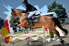 ref. photo 3603352
