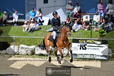 ref. photo 3603360