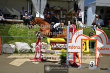 ref. photo 3603362