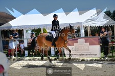 ref. photo 3603367