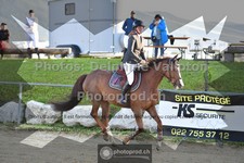 ref. photo 3603385