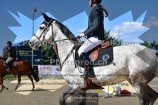 ref. photo 3603396