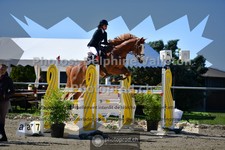 ref. photo 3603441