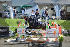 ref. photo 3603453