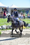 ref. photo 3603460