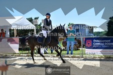 ref. photo 3603472