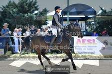 ref. photo 3603473