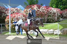 ref. photo 3603522