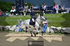 ref. photo 3603534