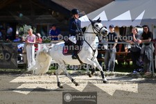 ref. photo 3603544