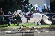 ref. photo 3603550