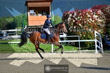 ref. photo 3603597