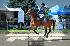 ref. photo 3603616
