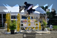 ref. photo 3603624