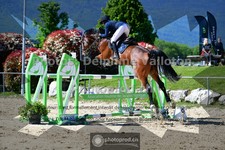 ref. photo 3603637