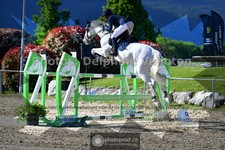 ref. photo 3603644