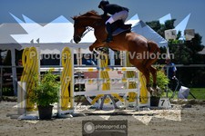 ref. photo 3603664