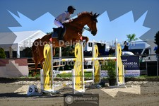 ref. photo 3603669