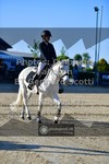 ref. photo 3603674