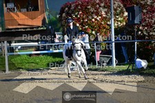 ref. photo 3603685
