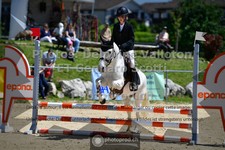 ref. photo 3603689