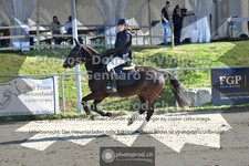 ref. photo 3603792