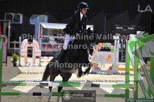 ref. photo 3603817