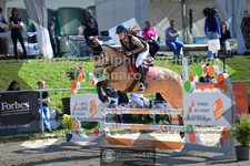 ref. photo 3603858