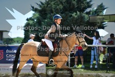 ref. photo 3603880