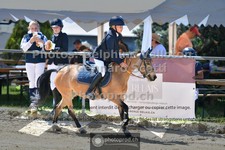 ref. photo 3603903