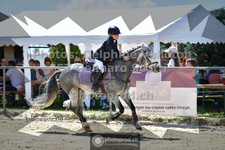 ref. photo 3603915