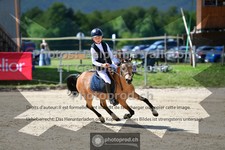 ref. photo 3603922