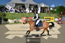 ref. photo 3603929