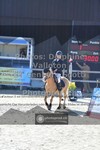 ref. photo 3603938