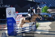 ref. photo 3603942