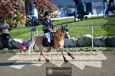 ref. photo 3603944