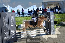 ref. photo 3603945
