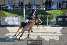 ref. photo 3603948