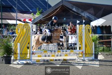 ref. photo 3603949