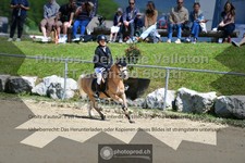ref. photo 3603961