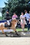 ref. photo 3603970