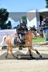 ref. photo 3603971