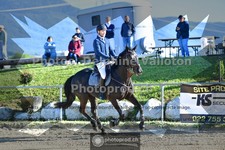 ref. photo 3603985