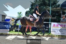 ref. photo 3603992