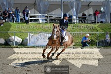 ref. photo 3604041