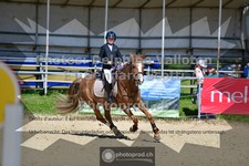 ref. photo 3604043