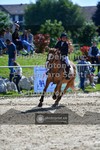 ref. photo 3604046