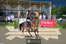 ref. photo 3604057