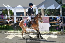 ref. photo 3604060