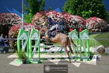 ref. photo 3604067